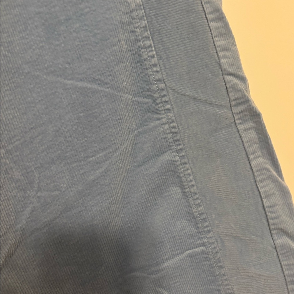 EUC - Baby Blue Corduroy Type Cropped Pants - Picture 3 of 7